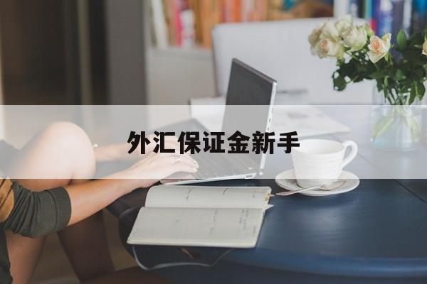 外汇保证金新手(外汇保证金的作用)